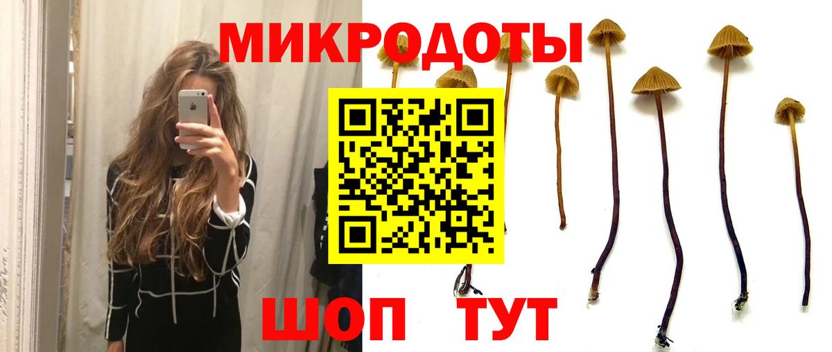 Киров  Псилоцибиновые грибы ЛСД  купить закладку  Вход с VPN  Псилоцибиновые грибы MAGIC MUSHROOMS 